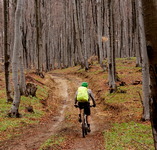 biking in sredna gora, bulgaria