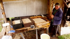 natural cheese bulgaria